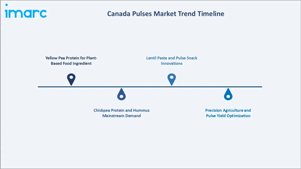 Canada Pulses Market Trend Timeline