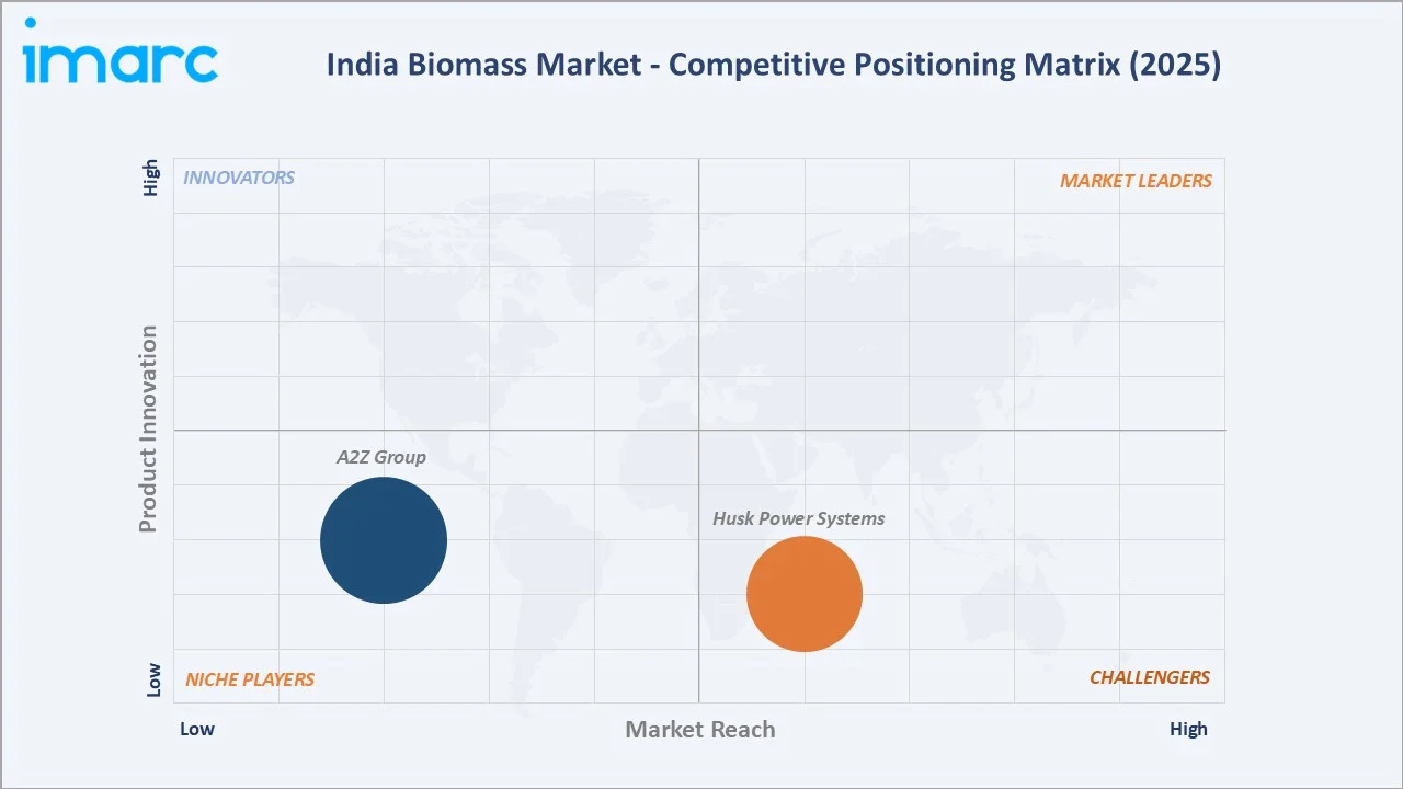 India Biomass Market By Competitive Positioning Matrix