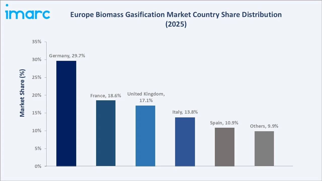 Europe Biomass Gasification Market By Region