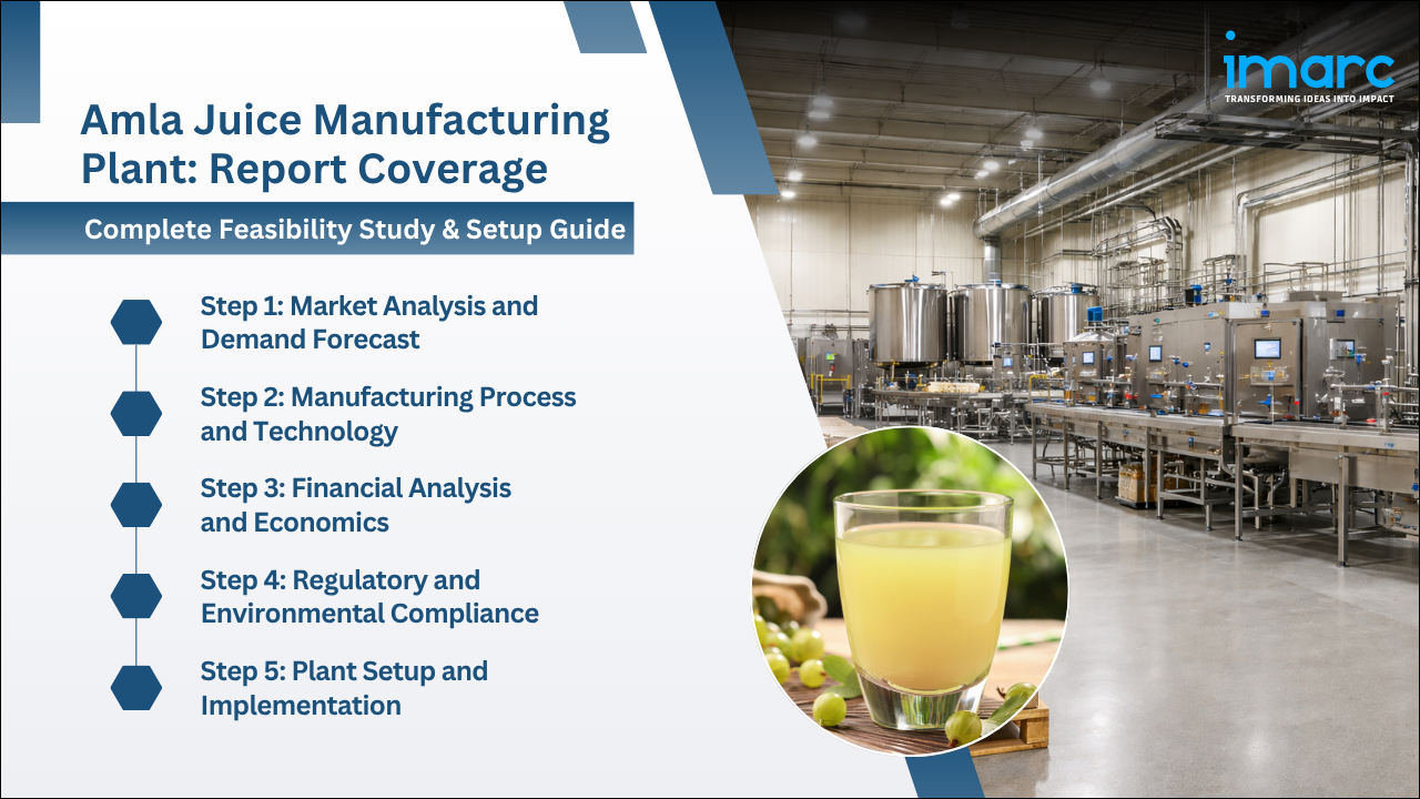 Amla Juice Manufacturing Plant Project Report 