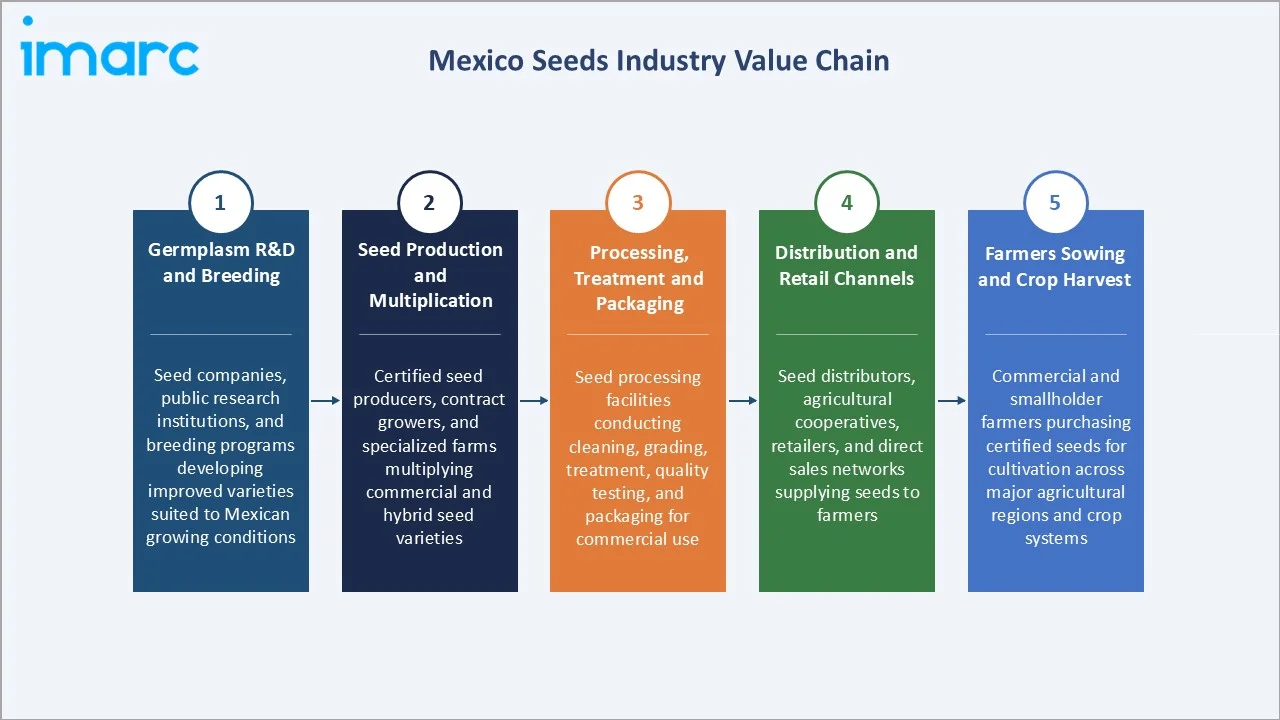 Mexico Seeds Market Industry Value Chain
