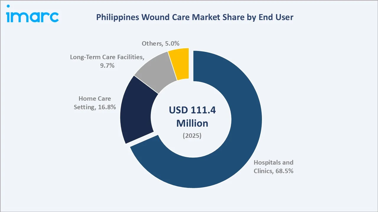 Philippines Wound Care Market By End User