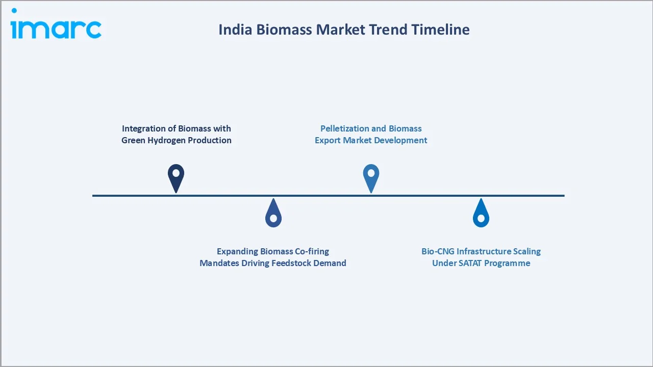 India Biomass Market Trend Timeline