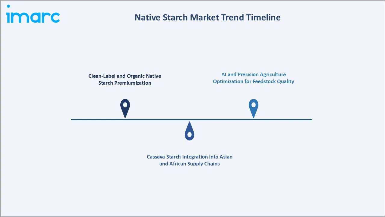Native Starch Market Trends