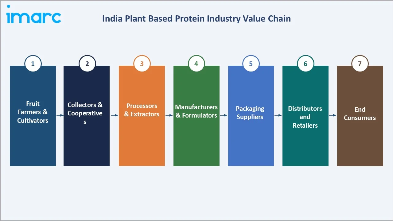 India Plant Based Protein Market Value Chain