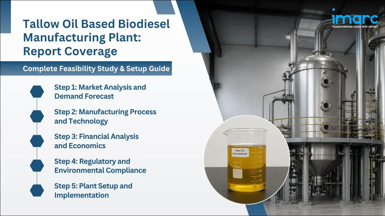 Tallow Oil Based Biodiesel Manufacturing Plant Project