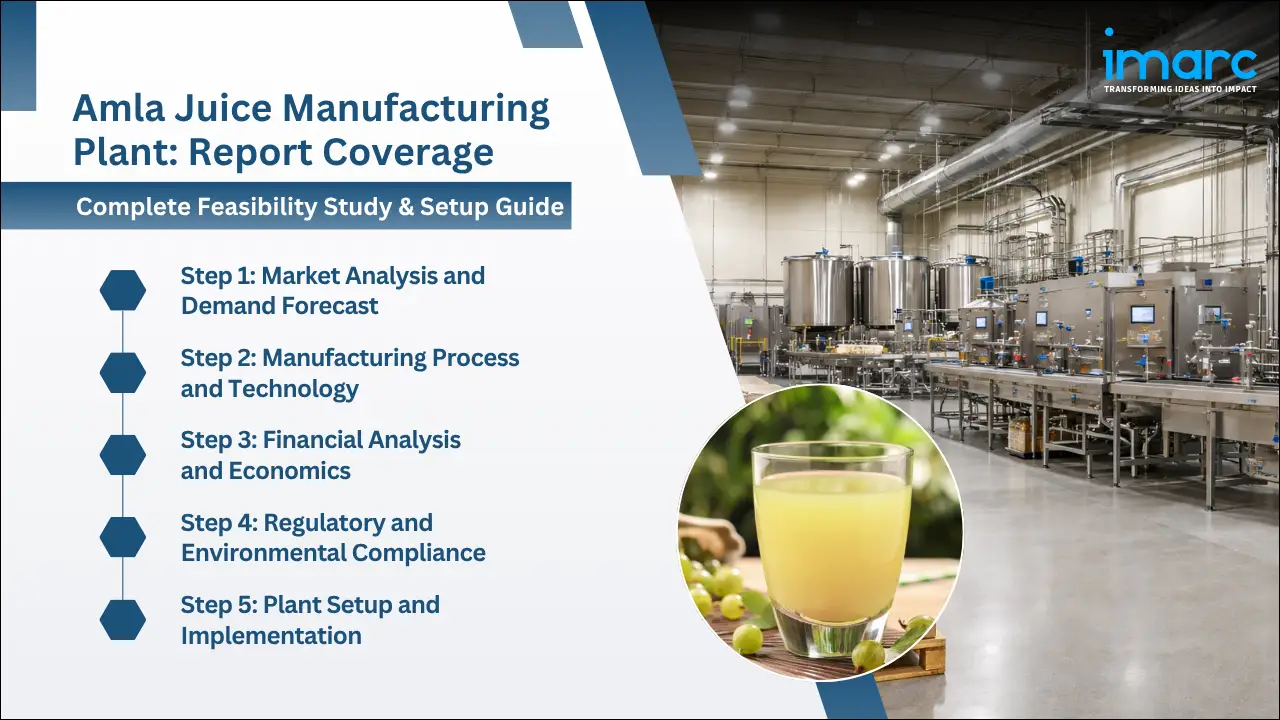 Amla Juice Manufacturing Plant Project Report
