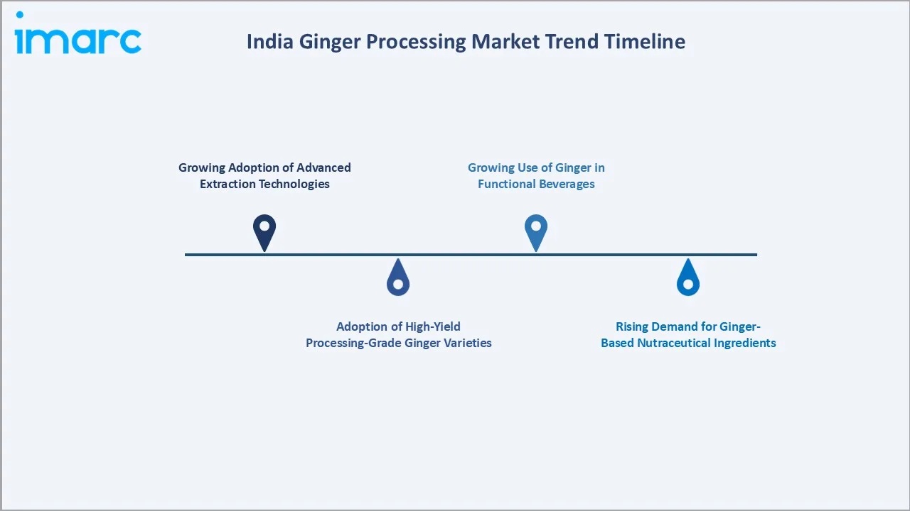India Ginger Processing Market Trend Timeline