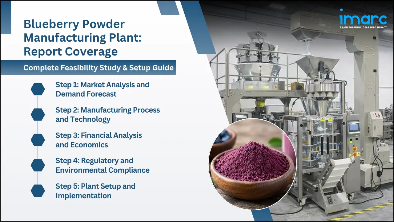 Blueberry Powder Manufacturing Plant Project Report