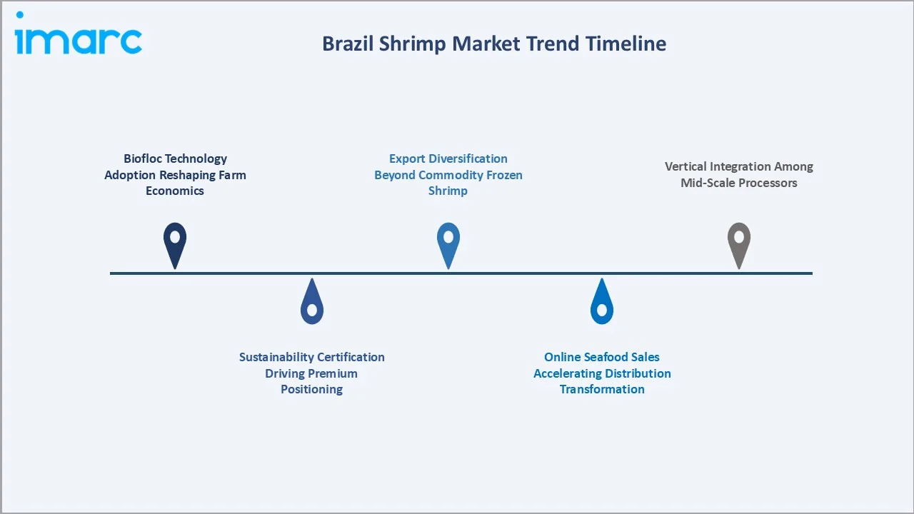 Brazil Shrimp Market Trends