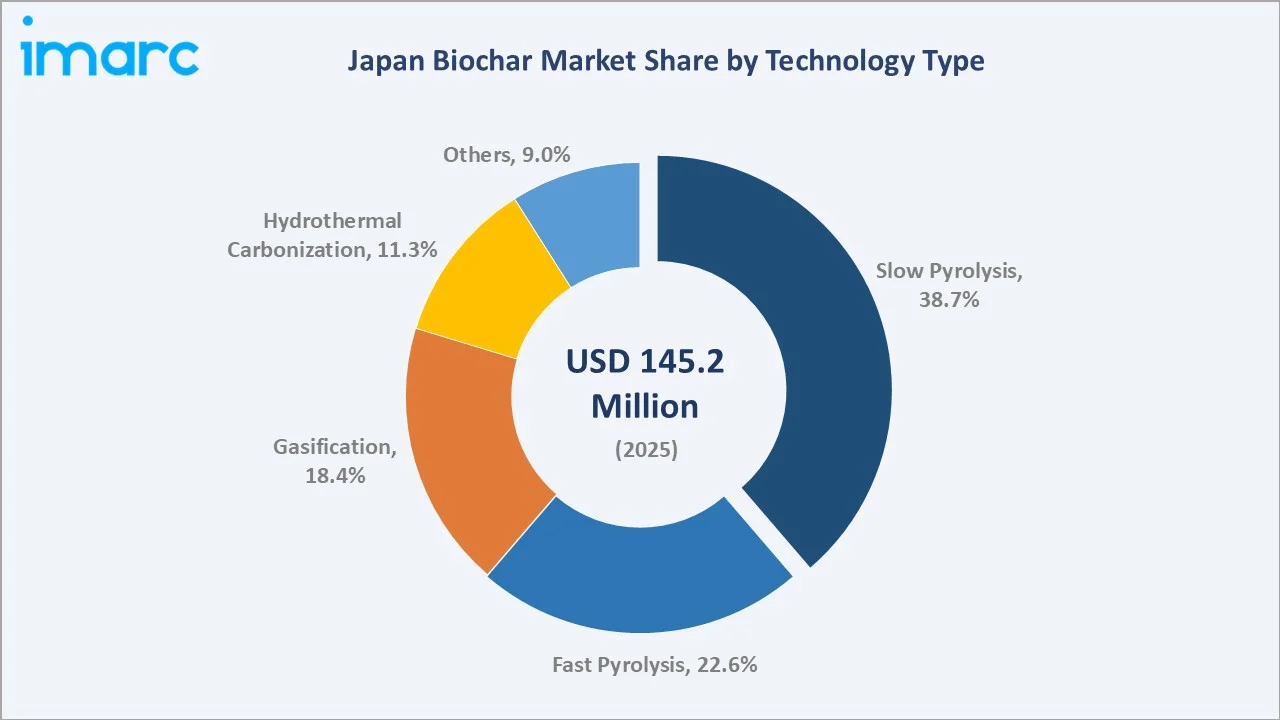 Japan Biochar Market By Technology Type