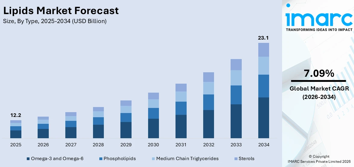 Lipids Market Size