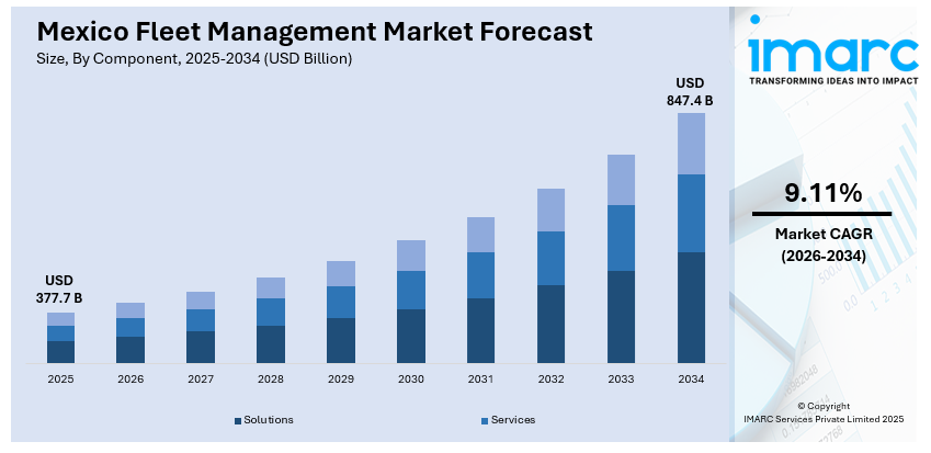 Mexico Fleet Management Market 