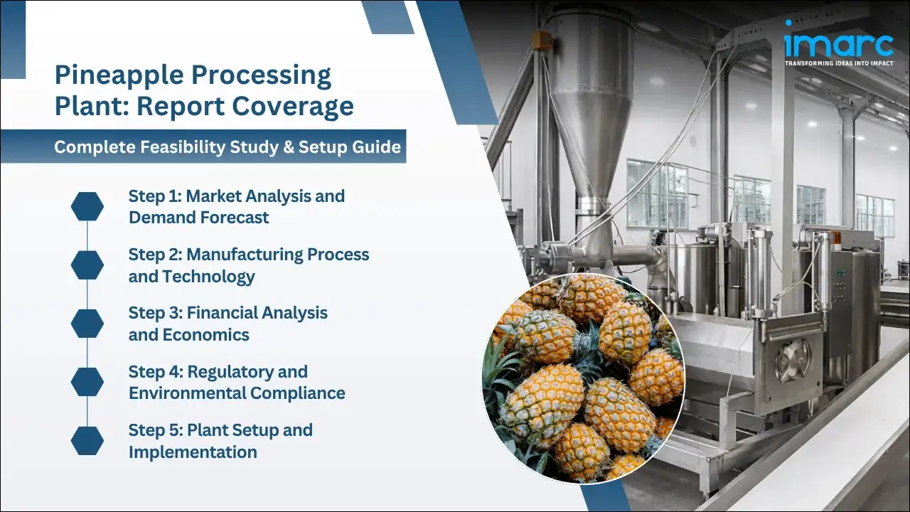 Pineapple Processing Plant Project Report