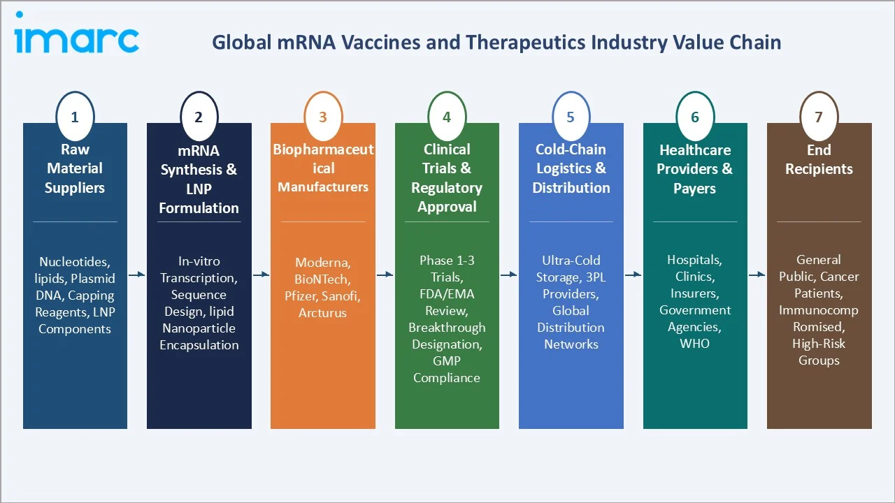 mRNA Vaccines and Therapeutics Market Industry Value Chain