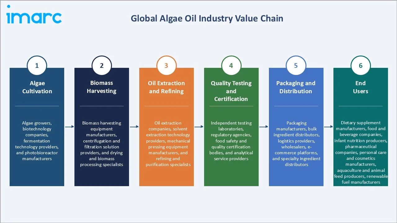 Algae Oil Market Industry Value Chain