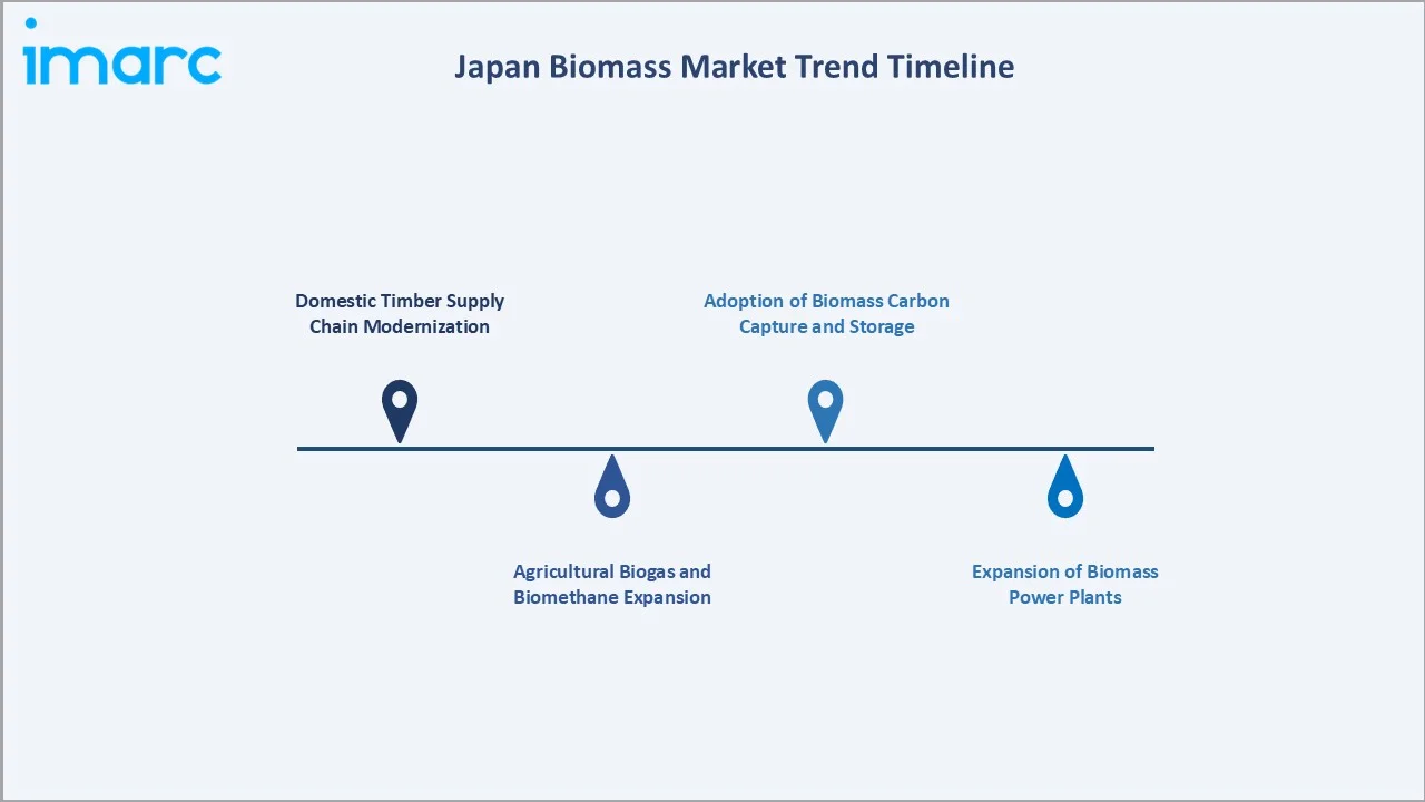 Japan Biomass Market Trend Timeline