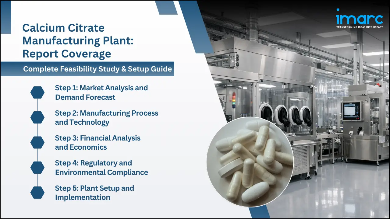 Calcium Citrate Manufacturing Plant Project Report