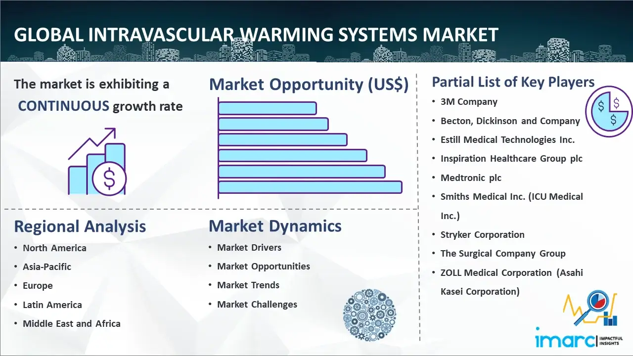 Global Intravascular Warming Systems Market