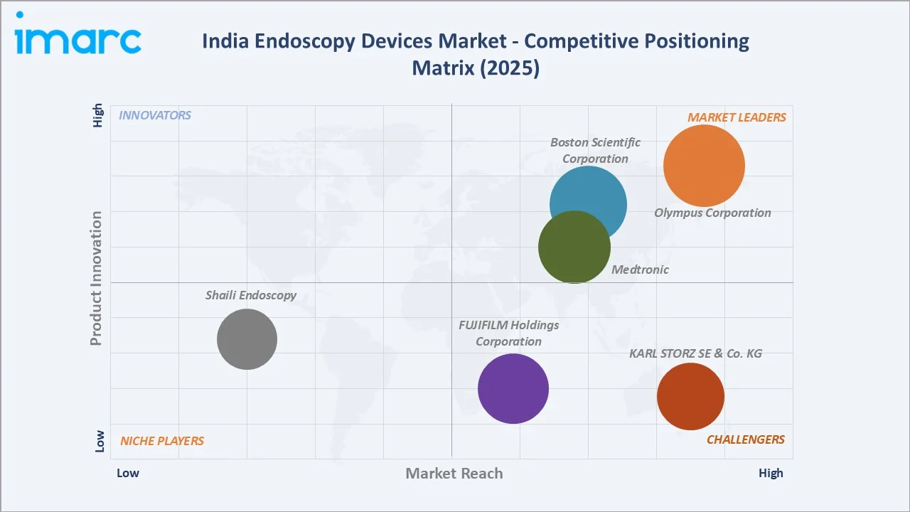 India Endoscopy Devices Market Competitive Positioning Matrix