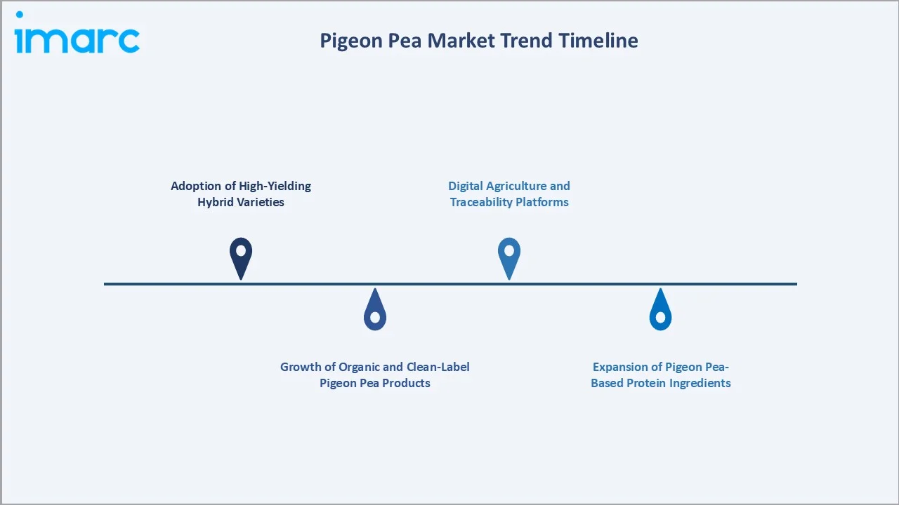 Pigeon Pea Market Trends