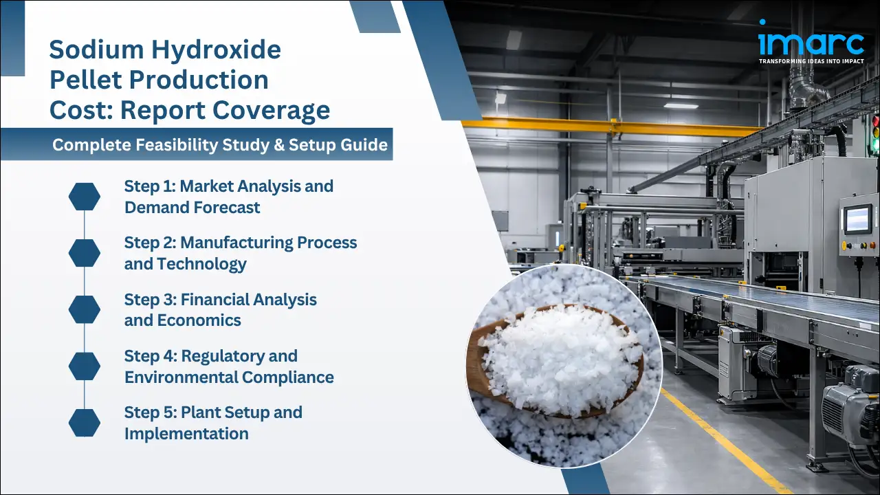 Sodium Hydroxide Pellet Production Cost Analysis Report