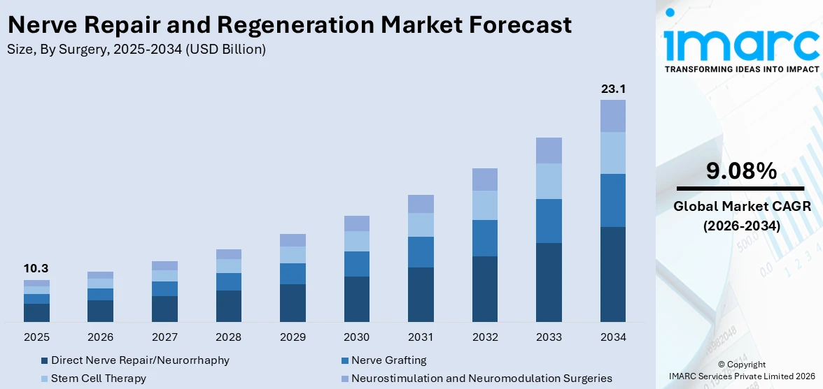 Nerve Repair and Regeneration Market Size