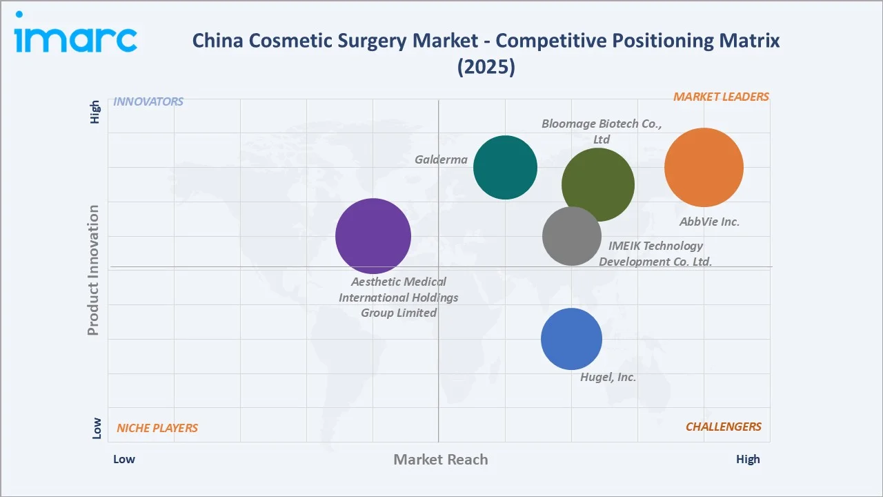China Cosmetic Surgery Market By Competitive Landscape