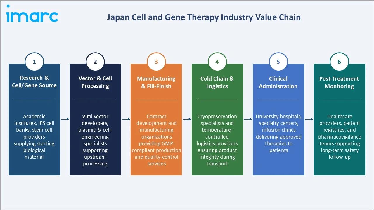 Japan Cell and Gene Therapy Market Industry Value Chain