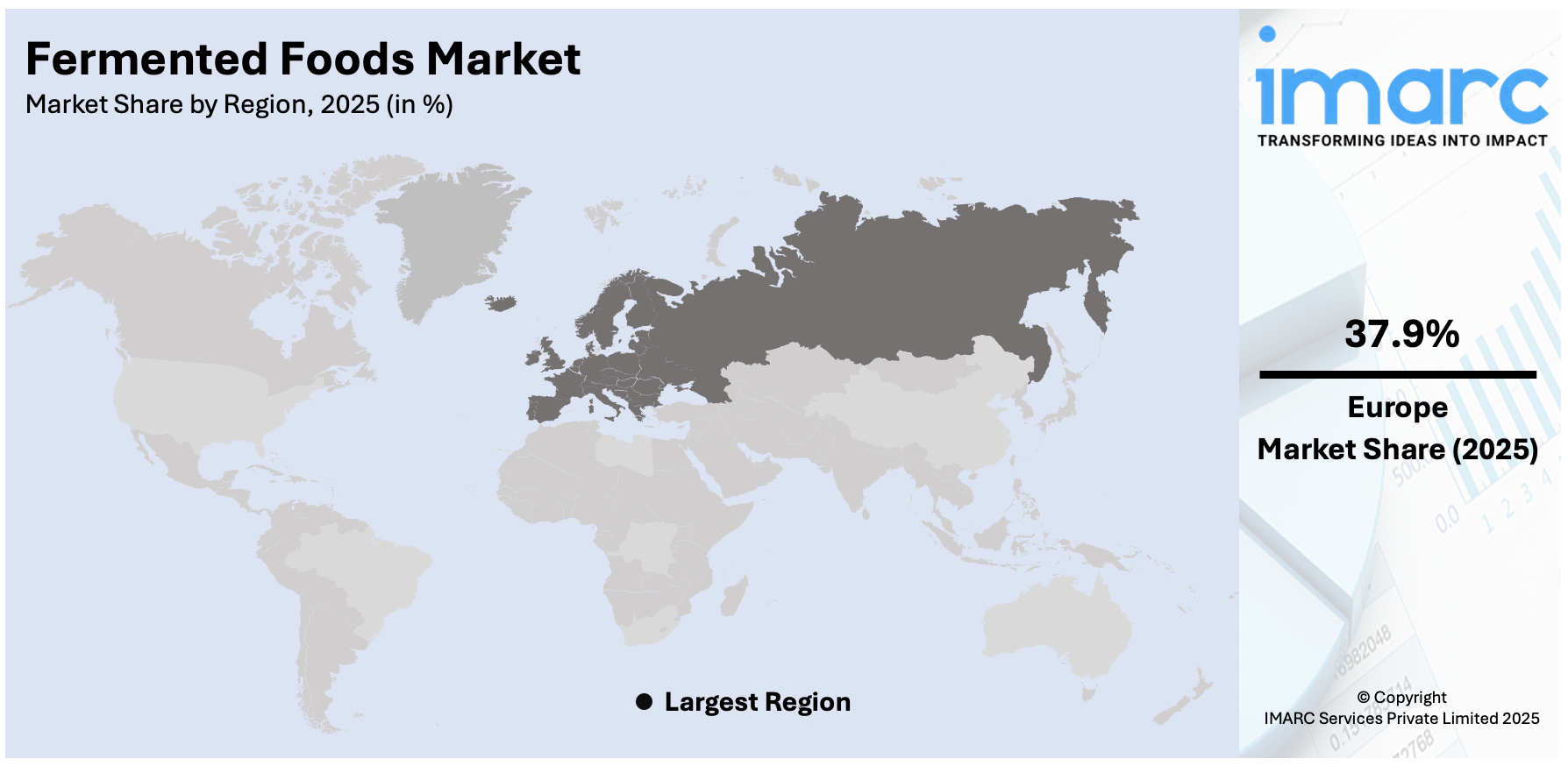 Fermented Foods Market By Region