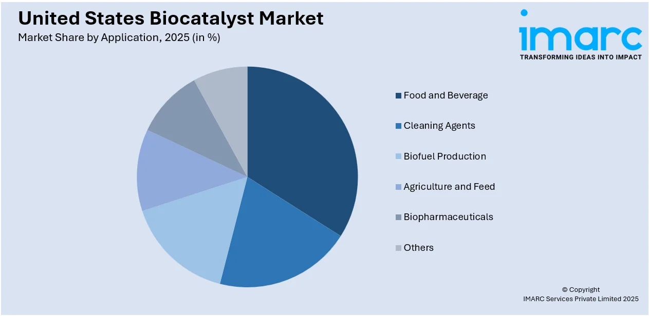 United States Biocatalyst Market by Application