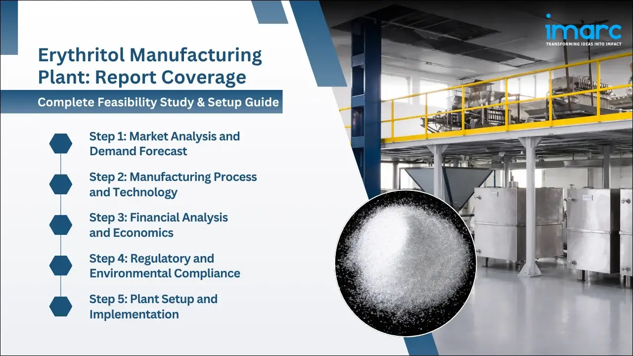 Erythritol Manufacturing Plant