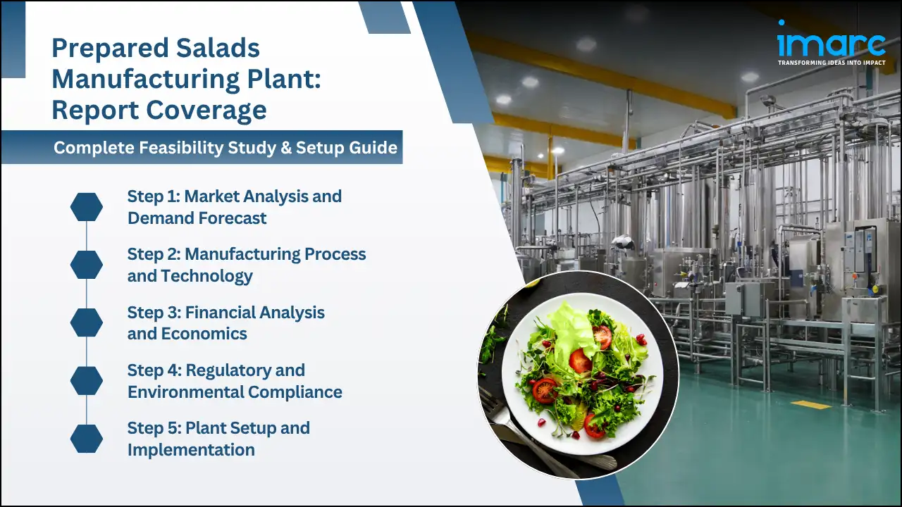 Prepared Salads Manufacturing Plant