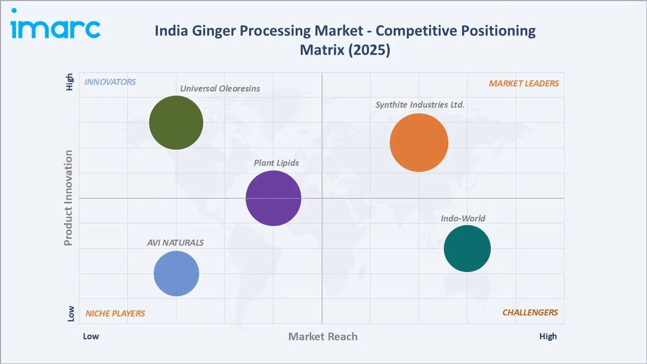 India Ginger Processing Market Competitive Positioning Matrix