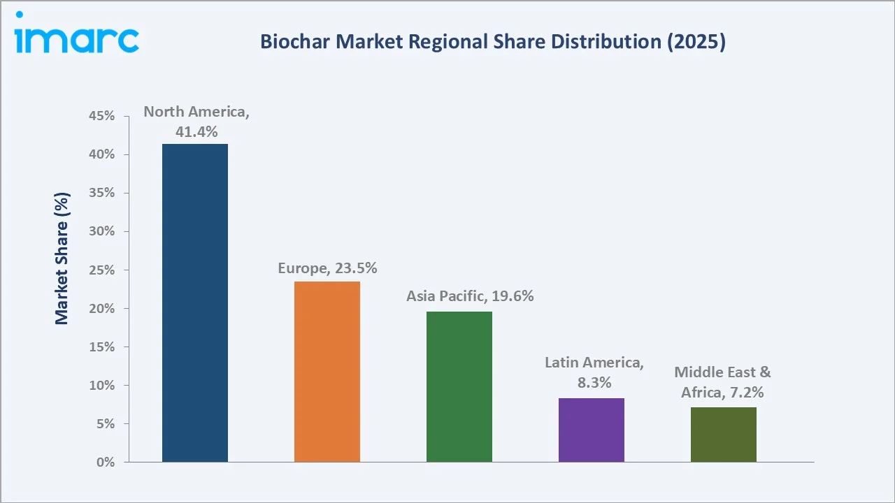Biochar Market By Region