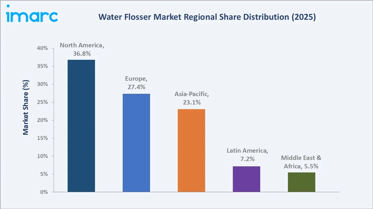 Water Flosser Market By Region