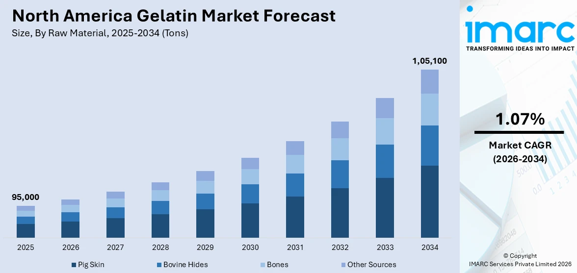 North America Gelatin Market Size