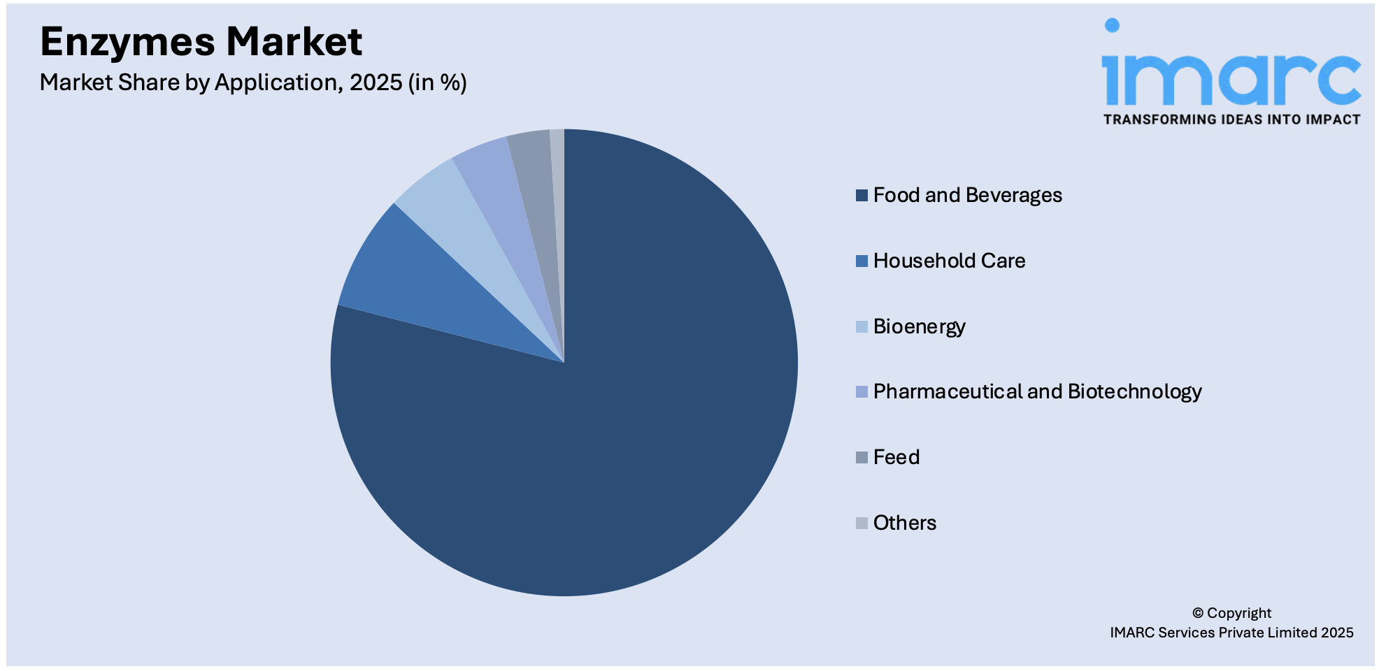 Enzymes Market By Application