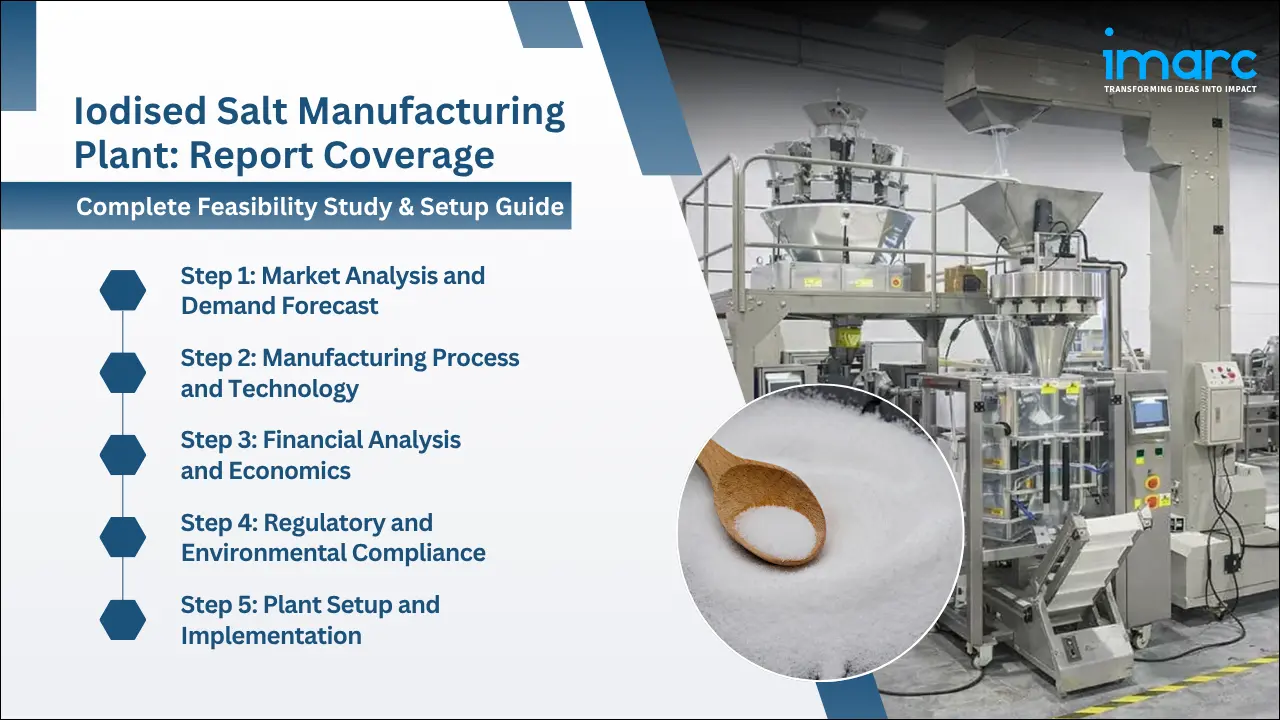 Iodised Salt Manufacturing Plant Project Report