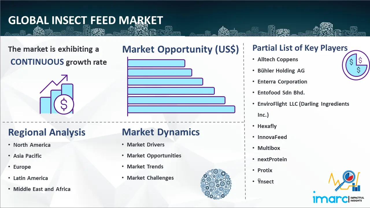 Global Insect Feed Market