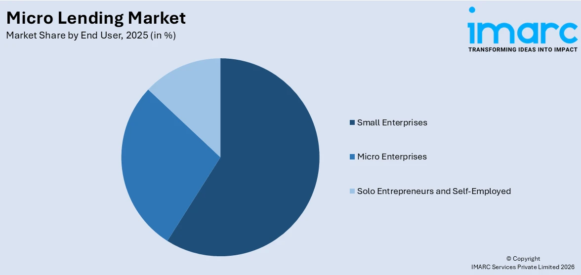 Micro Lending Market By End User