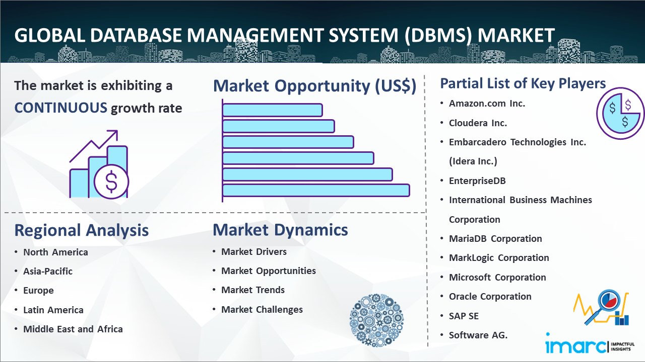 Global Database Management System (DBMS) Market Report