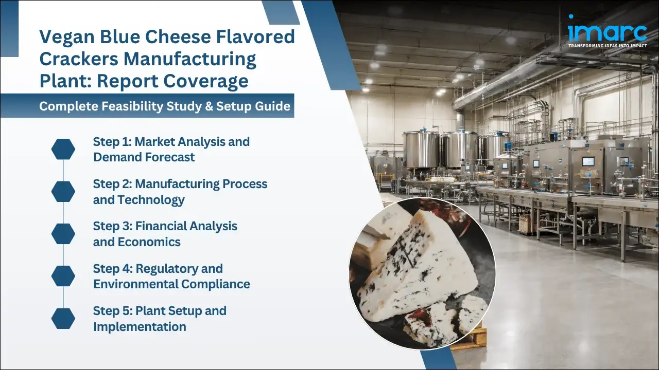 Vegan Blue Cheese Flavored Crackers Manufacturing Plant Project Report