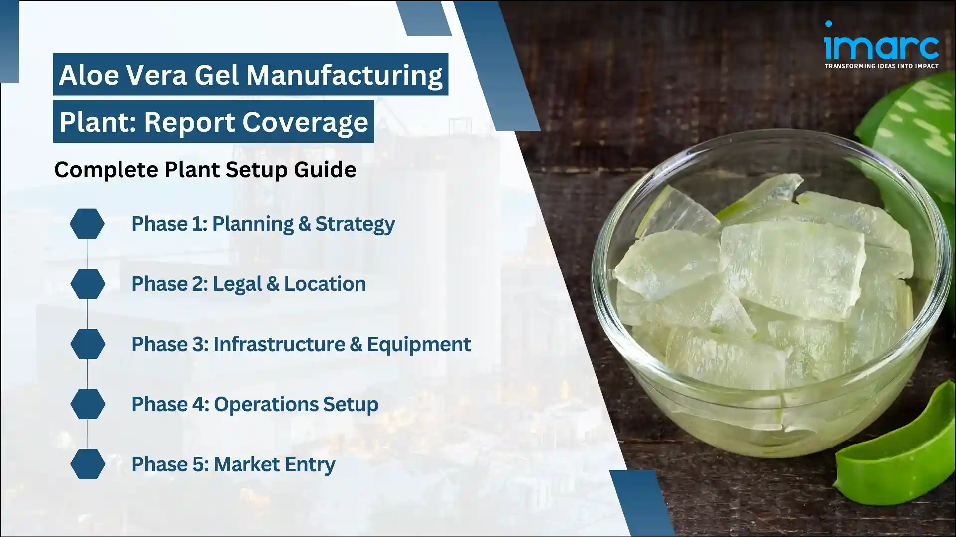 Aloe Vera Gel Manufacturing Plant