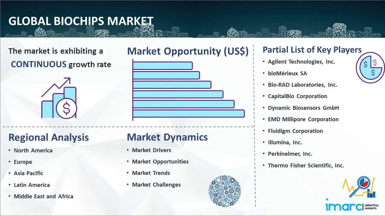 Global Biochips Market