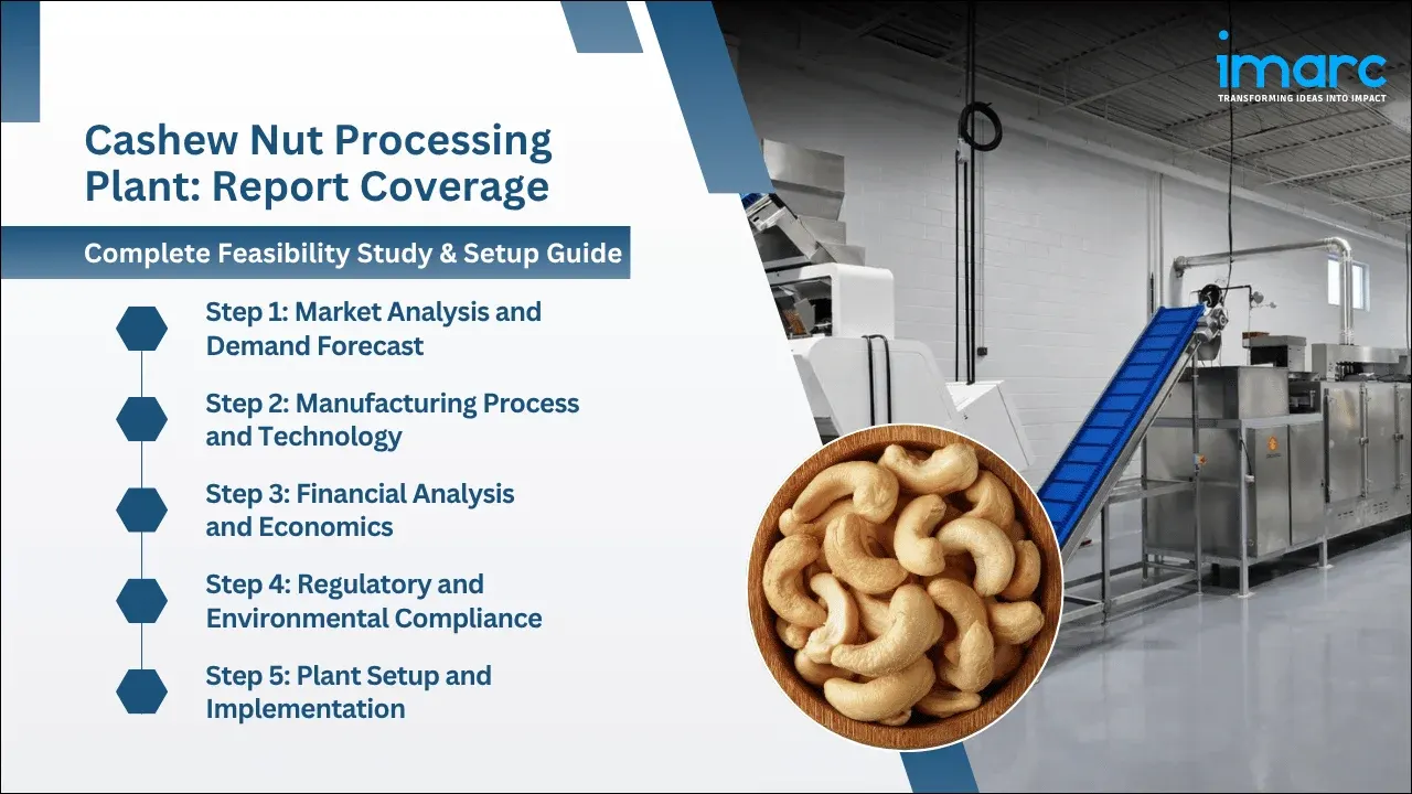 Cashew Nut Processing Plant Project Report