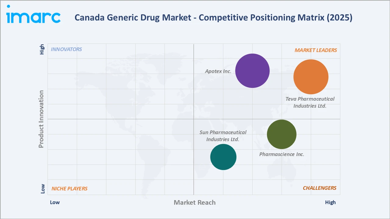 India Water Treatment Chemicals Market Competitive Positioning Matrix