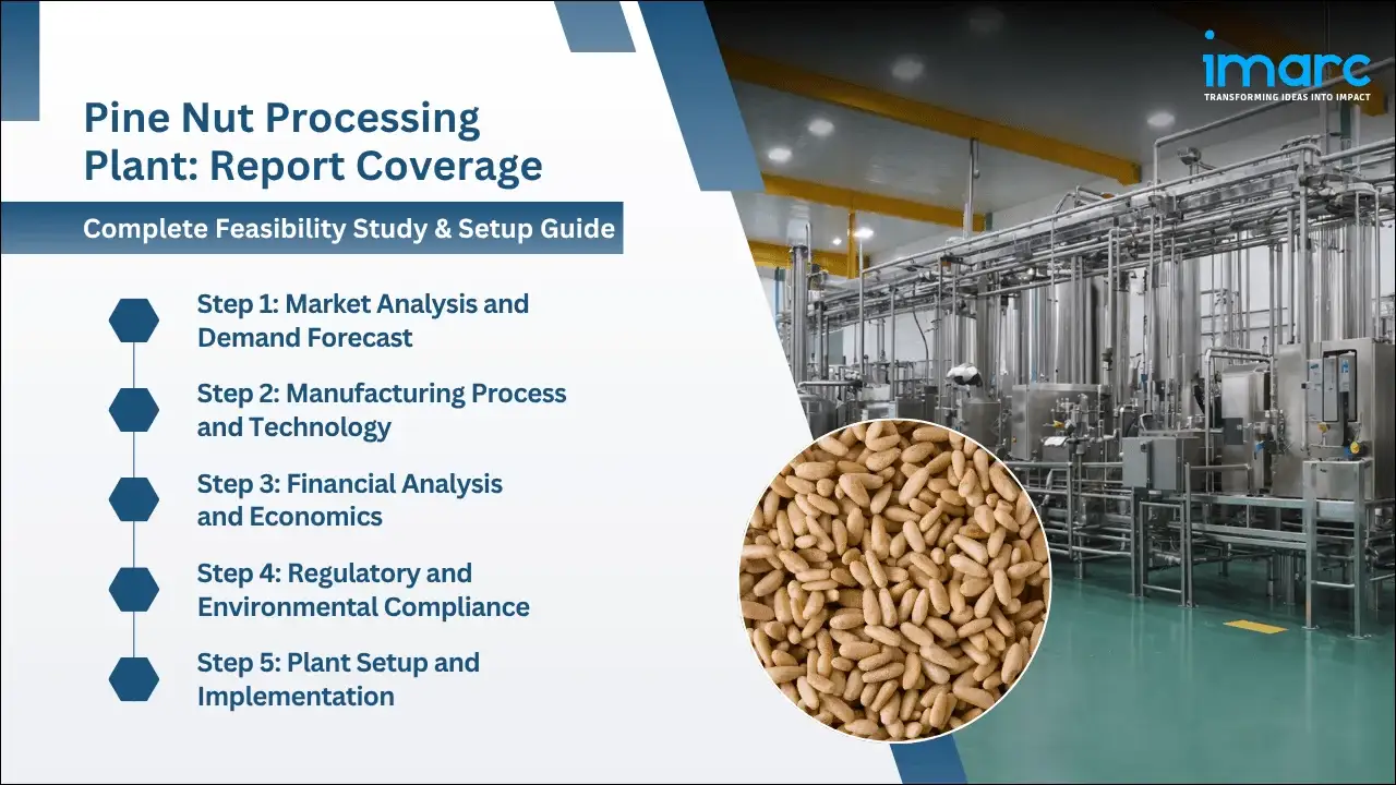 Pine Nut Processing Plant Project Report
