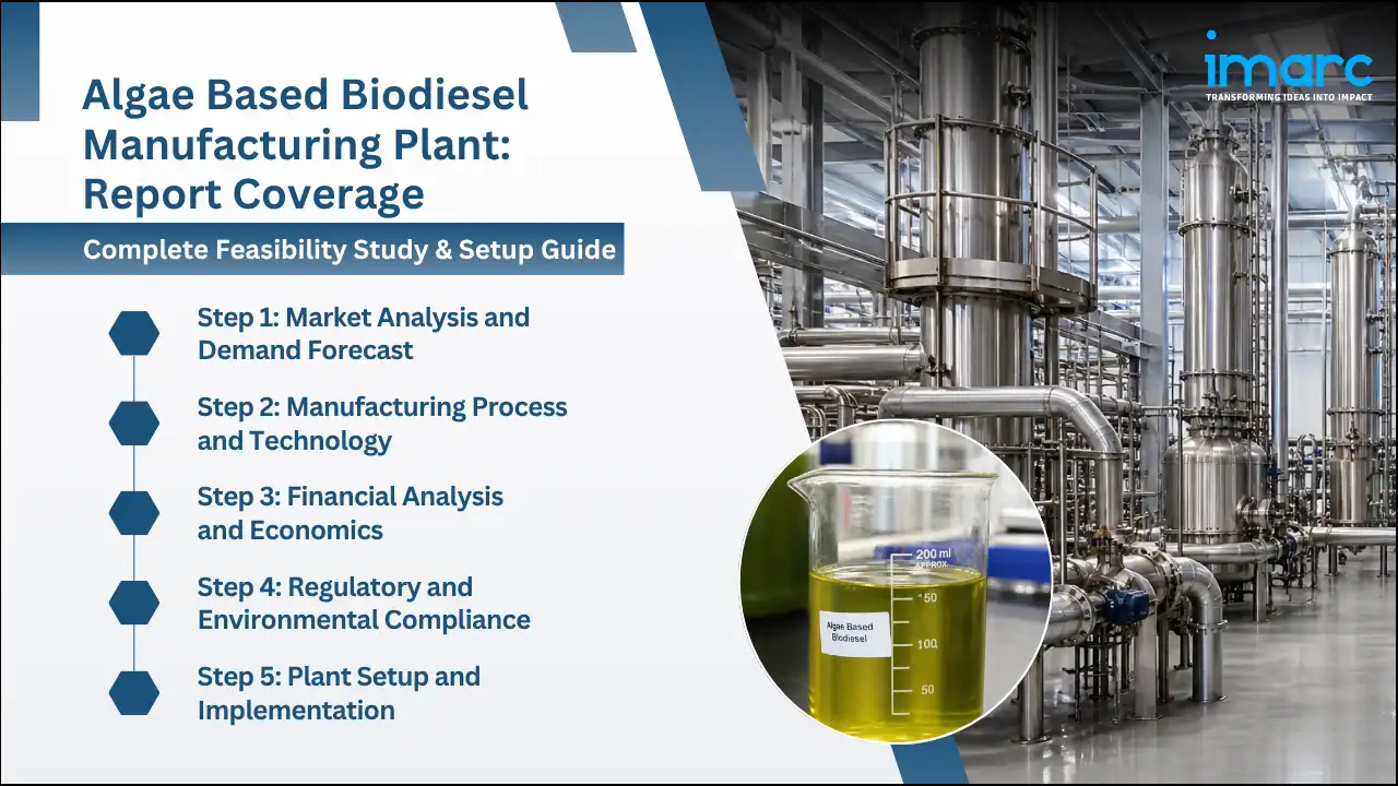 Algae Based Biodiesel Manufacturing Plant Project Report