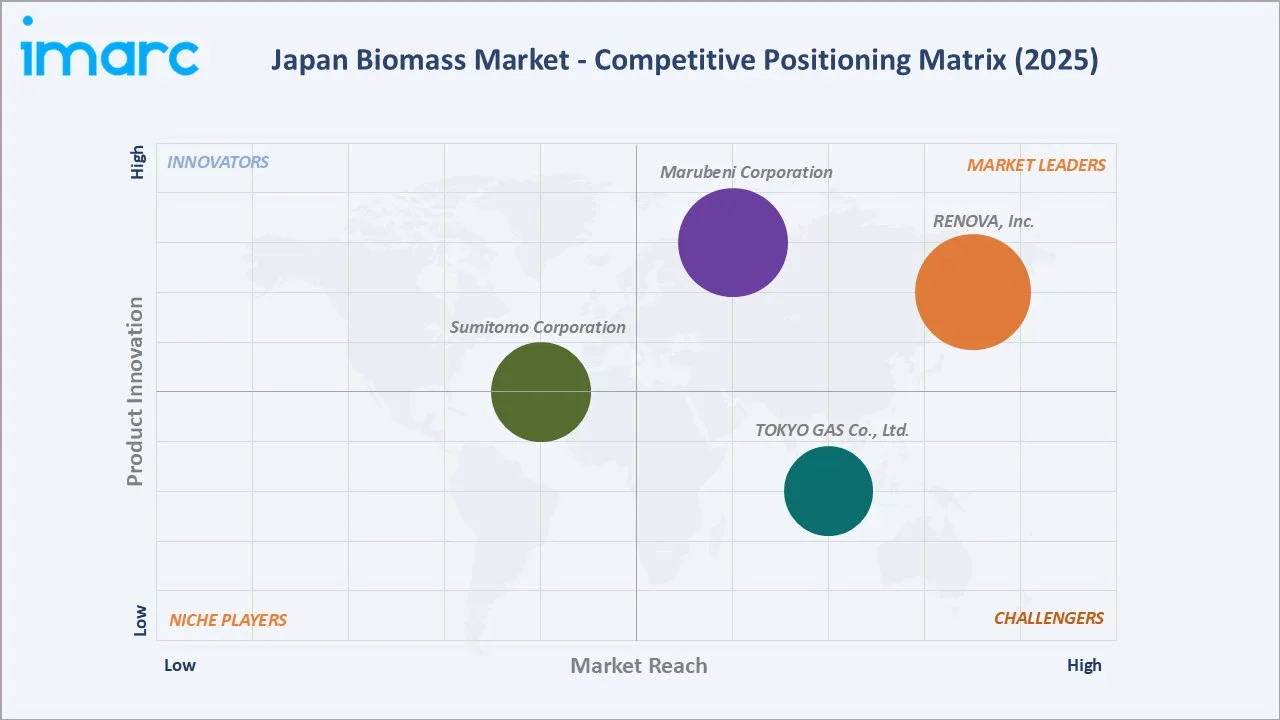 Japan Biomass Market By Competitive Positioning Matrix